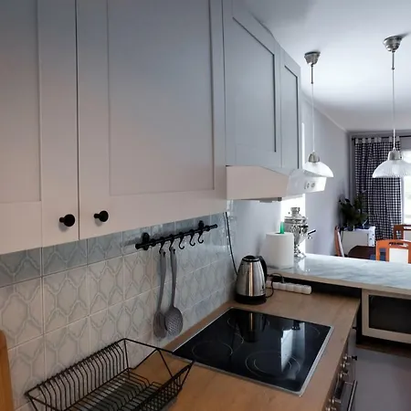 Dom Nad Wda Bory Tucholskie Holiday home *